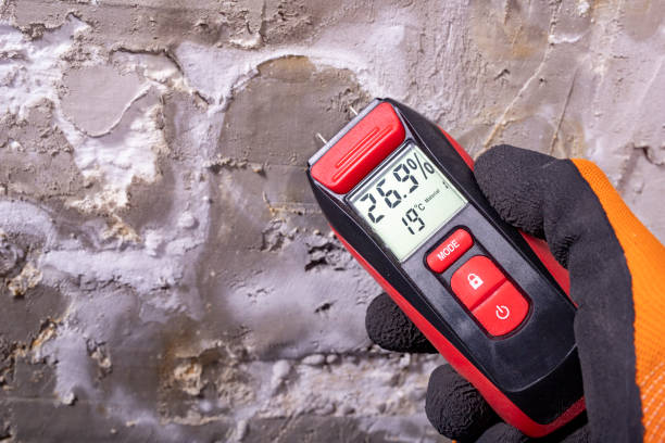 Best Best Mold Removal Companies  in Owensville, IN