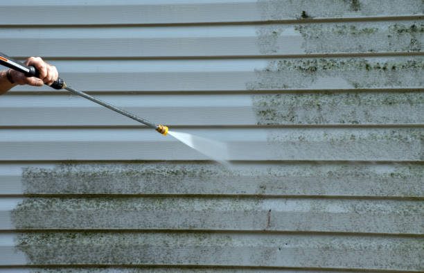 Certified Mold Removal in Owensville, IN